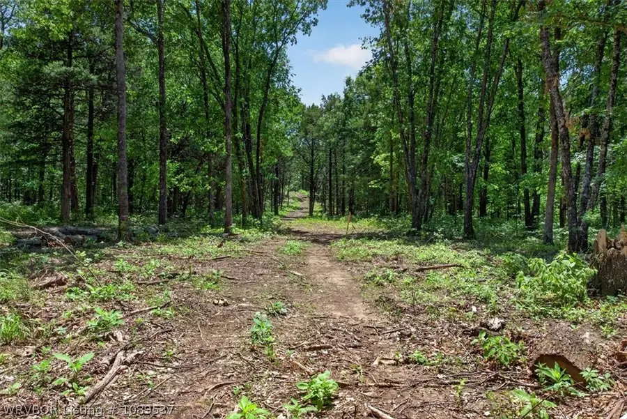 Tract 2 Benson Lane, Heavener, OK 74937 - #3