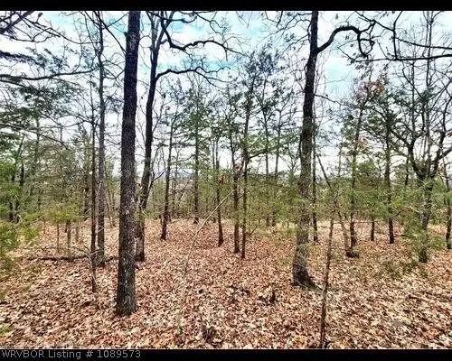 34441 Berryfrost, Poteau, OK 74953