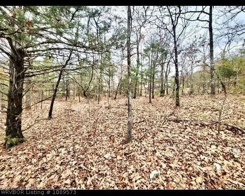 34441 Berryfrost, Poteau, OK 74953 - #3