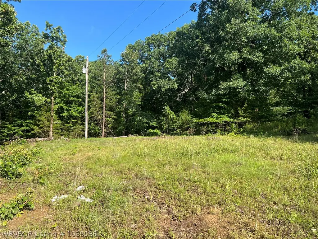 TBD Apple Leaf Lane, Rudy, AR 72952 - #1