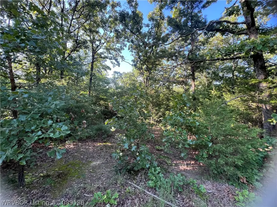 TBD Apple Leaf Lane, Rudy, AR 72952 - #3
