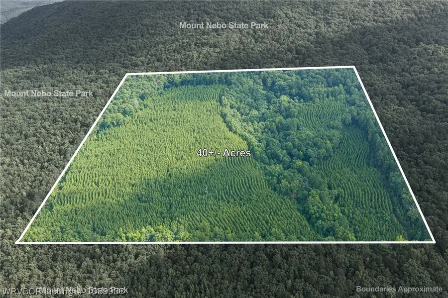 TBD Jones Mountain Road, Dardanelle, AR 72834 - #3