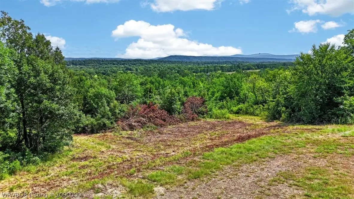 26861 Merle Branch Lane, Heavener, OK 74937 - #1