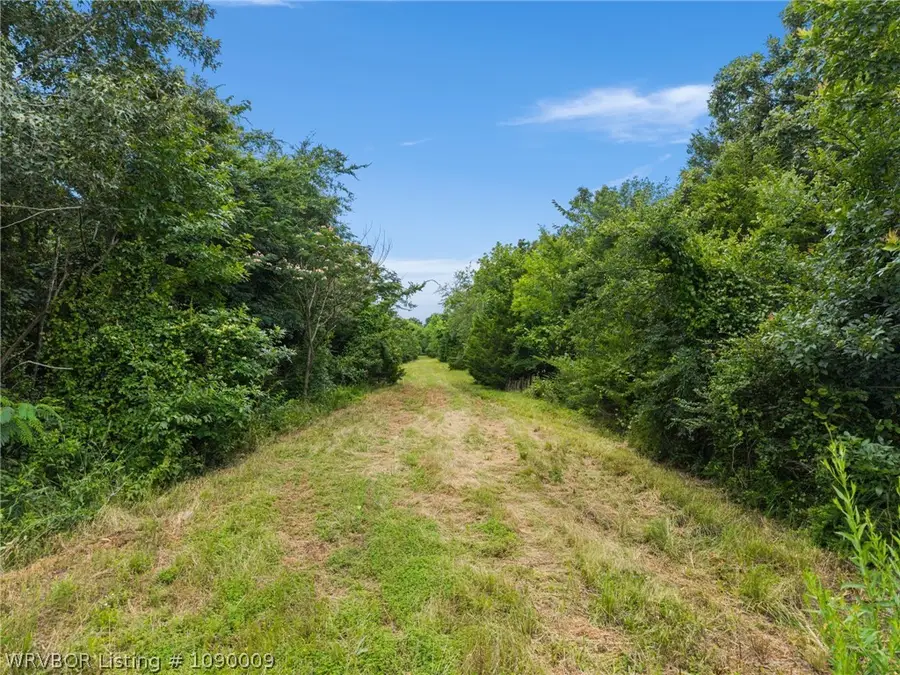 TBD Missouri Road, Charleston, AR 72933 - #2