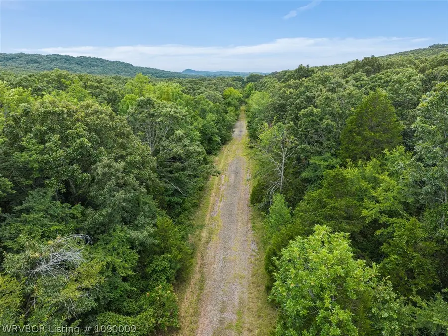 TBD Missouri Road, Charleston, AR 72933 - #3