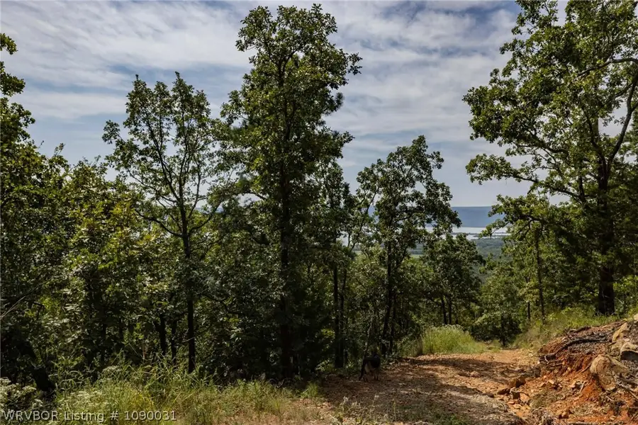 Tract 2 Wolf Mountain Road, Clayton, OK 74574 - #3
