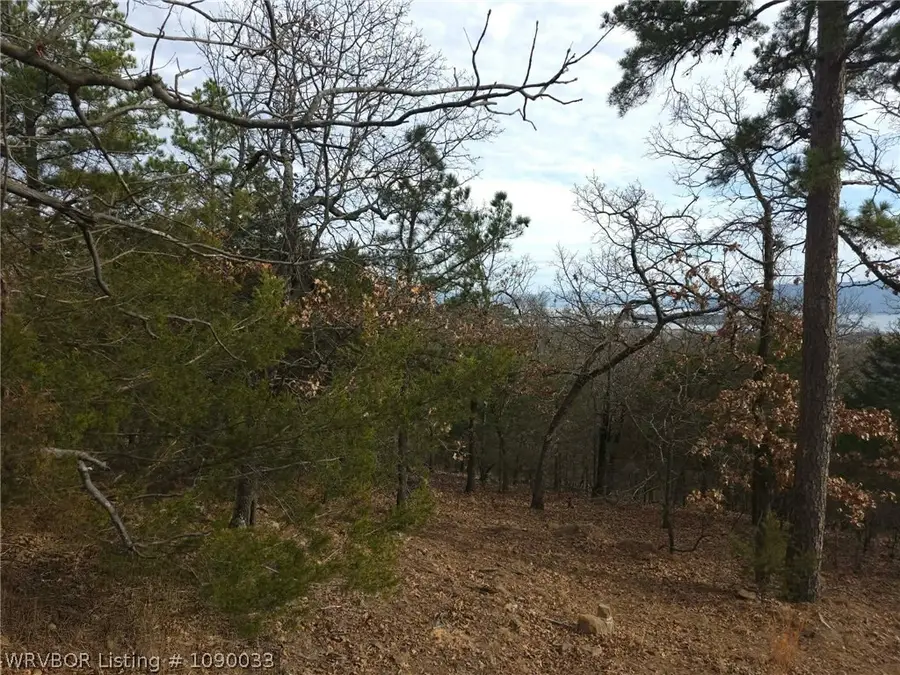 Tract 3 Wolf Mountain Road, Clayton, OK 74574 - #3