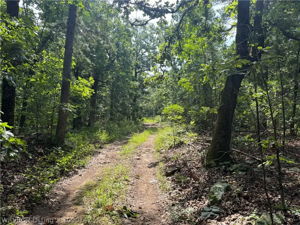 TBD Buffalo Mountain Road, South Latimer, OK 74942 - #1