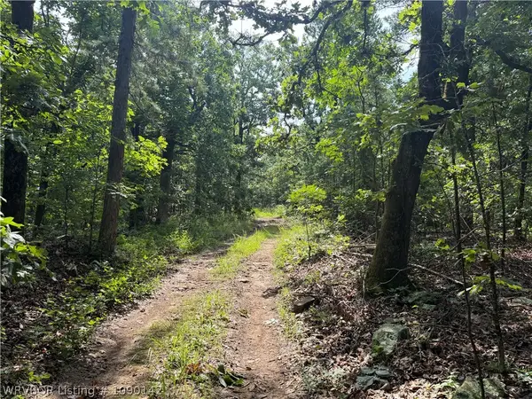 TBD Buffalo Mountain Road, Talihina, OK 74942