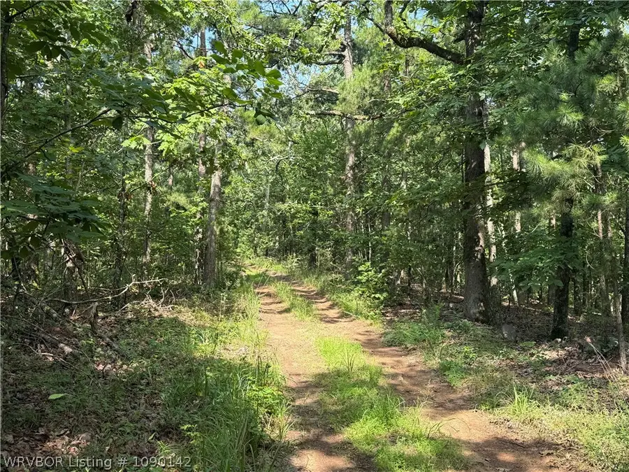 TBD Buffalo Mountain Road, South Latimer, OK 74942 - #2