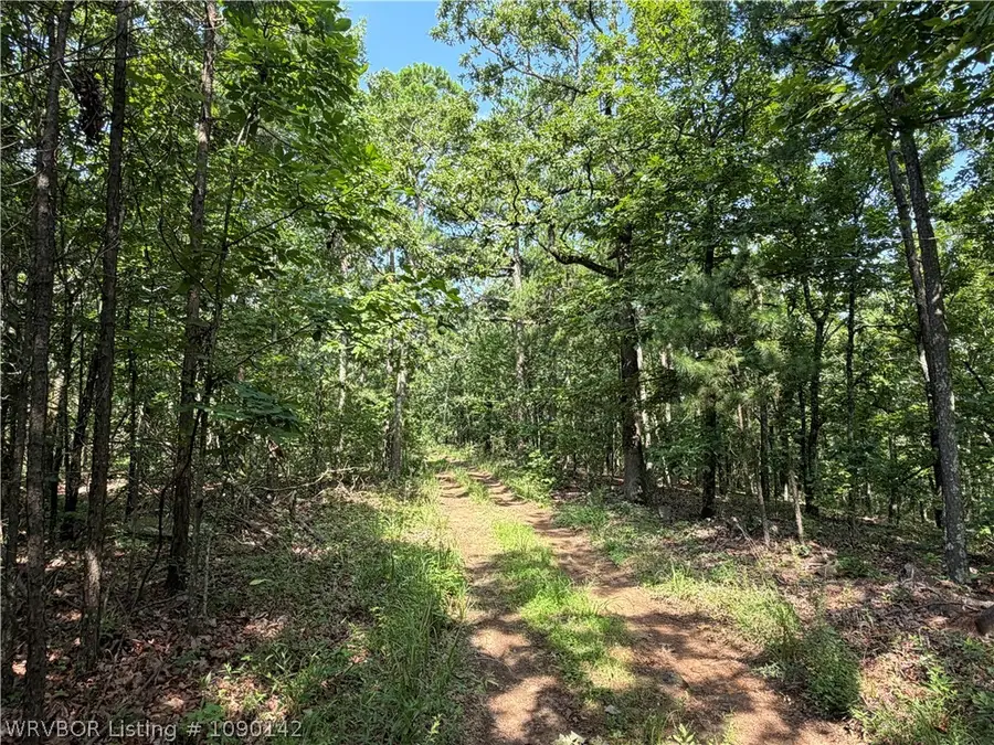 TBD Buffalo Mountain Road, South Latimer, OK 74942 - #3