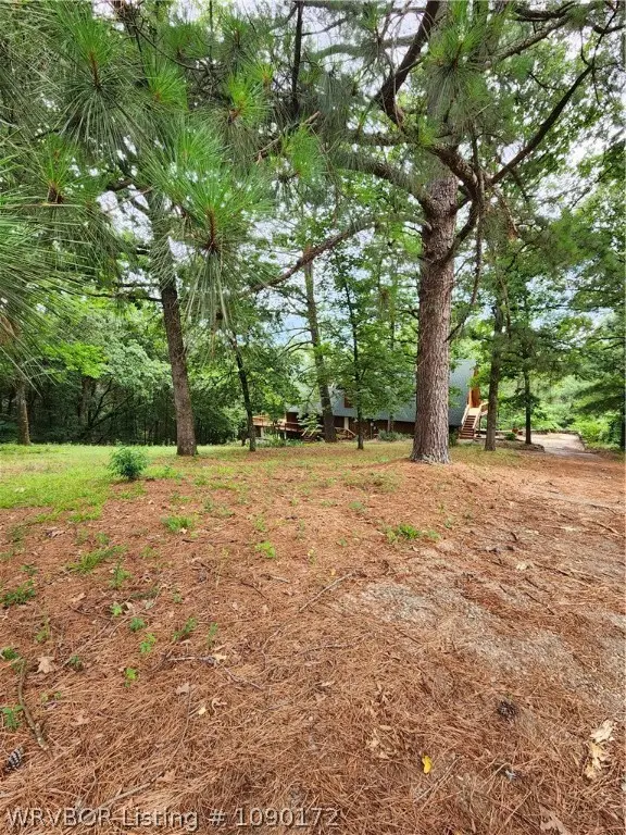 6533 W Creek Road, Ozark, AR 72949 - #3