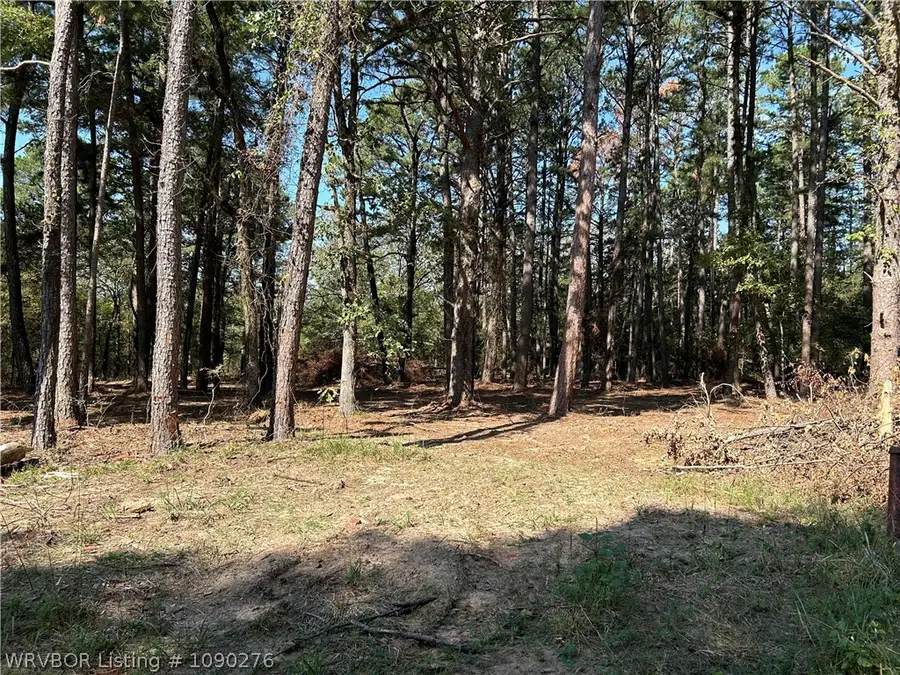 8619 Western Drive, Van Buren, AR 72956 - #3