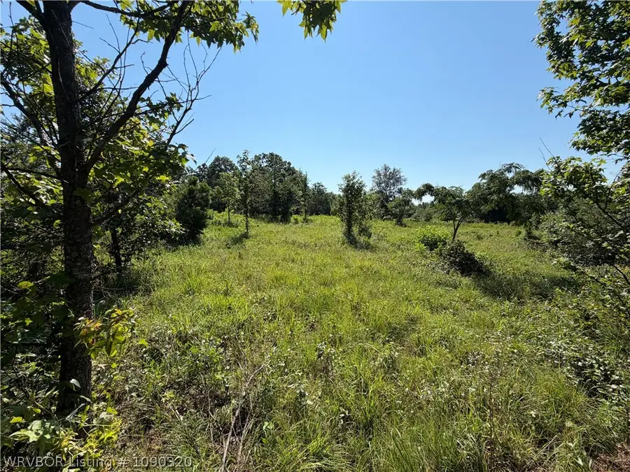 TBD Restful Drive, Mulberry, AR 72947 - #2