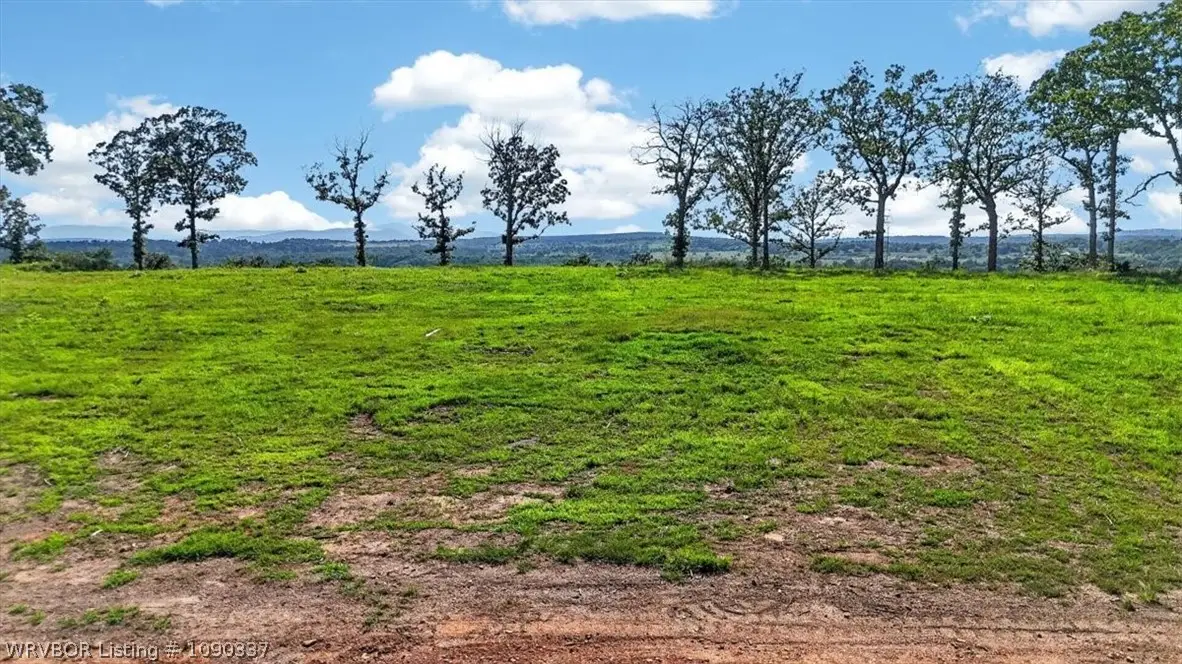 Lot 3 Hillcrest Drive, Heavener, OK 74937 - #1