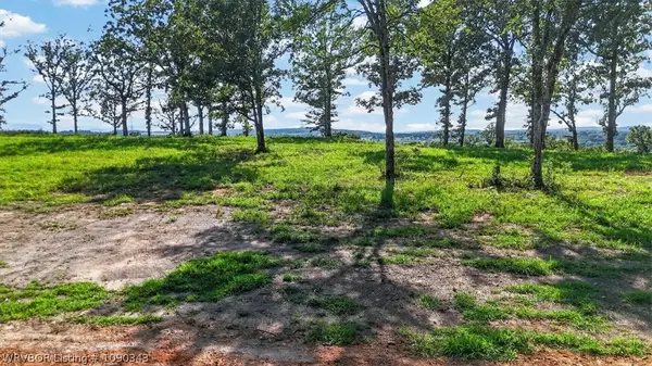 Lot 9 Hillcrest Drive, Heavener, OK 74937