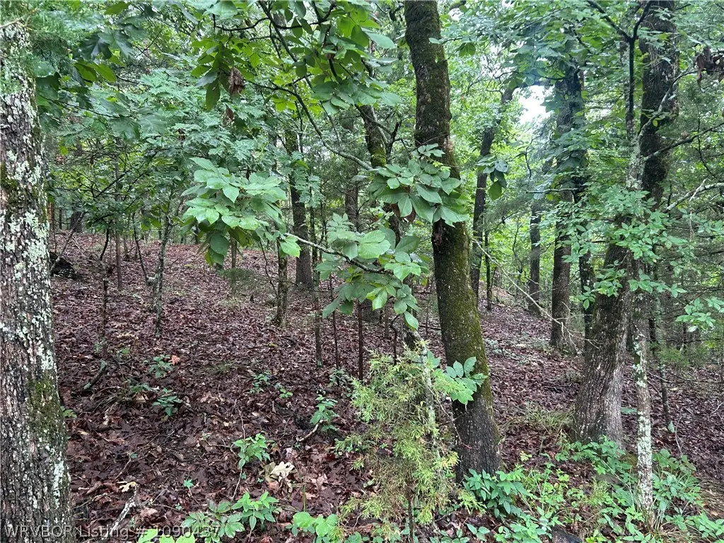 TBD Canyon Road, Poteau, OK 74953 - #1