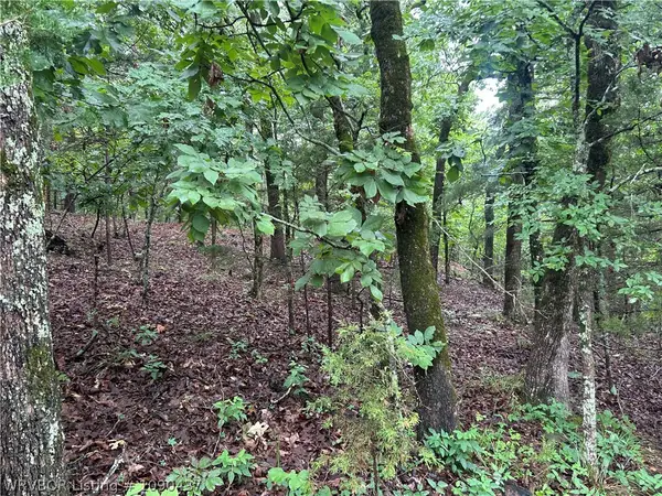 TBD Canyon Road, Poteau, OK 74953