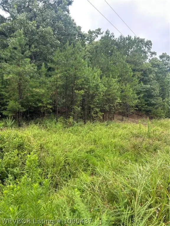 TBD Canyon Road, Poteau, OK 74953 - #3