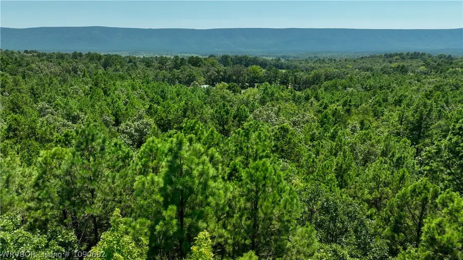 26801 Muse Road, Muse, OK 74949 - #2