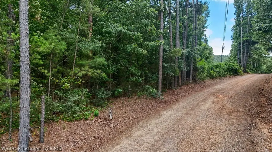 Lot 1 & 8 N State Highway 217, Charleston, AR 72933 - #2