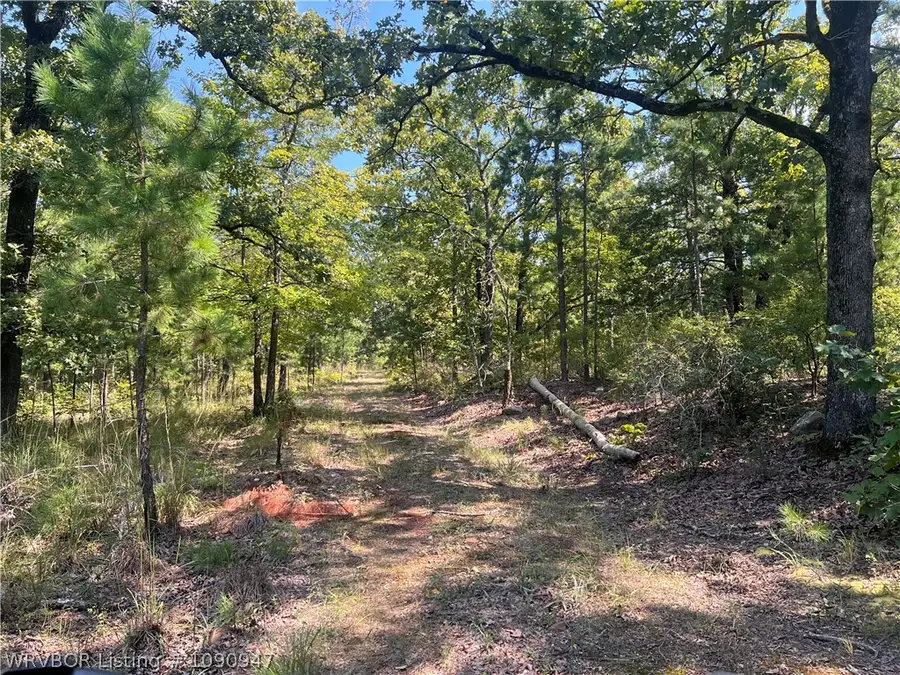Tract 5&6 River Road, Whitesboro, OK 74577 - #3