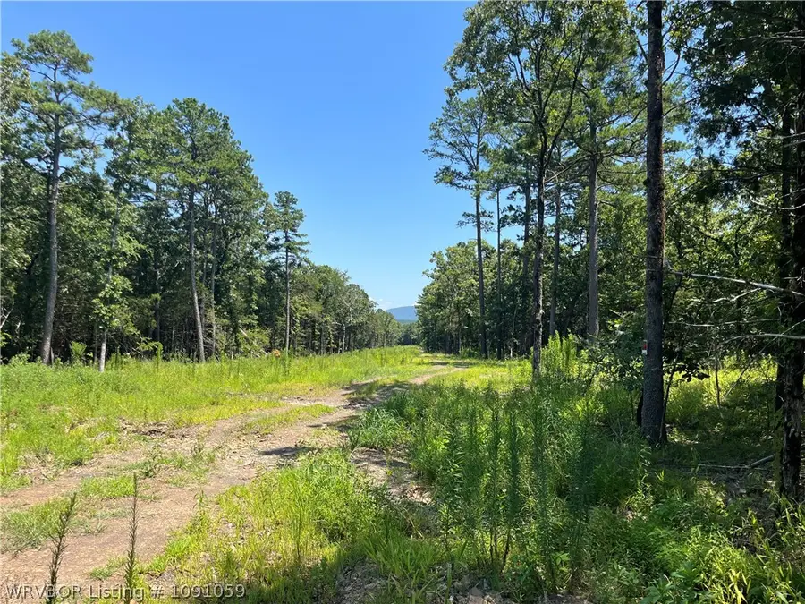 TBD Twin Ridges Estates, Wister, OK 74966 - #3