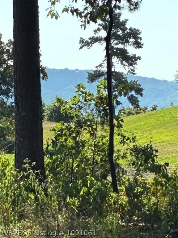 1465 Citadel Bluff, Cecil, AR 72930