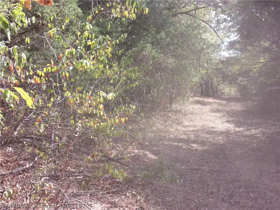 4725 Compressor Road, Ratcliff, AR 72951 - #2