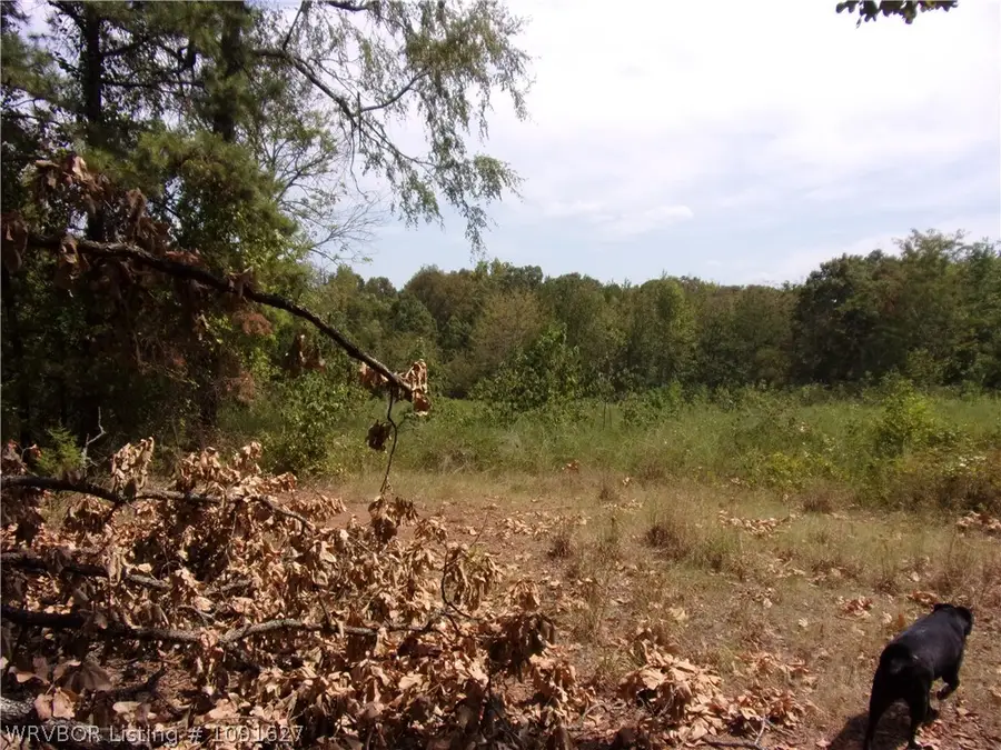 TBD Beneux Bottom Road, Mulberry, AR 72947 - #3