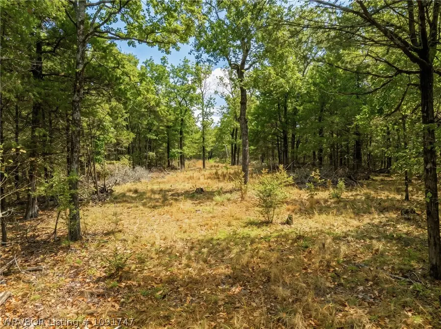 TBD Lucian Wood Road, Cedarville, AR 72932 - #2
