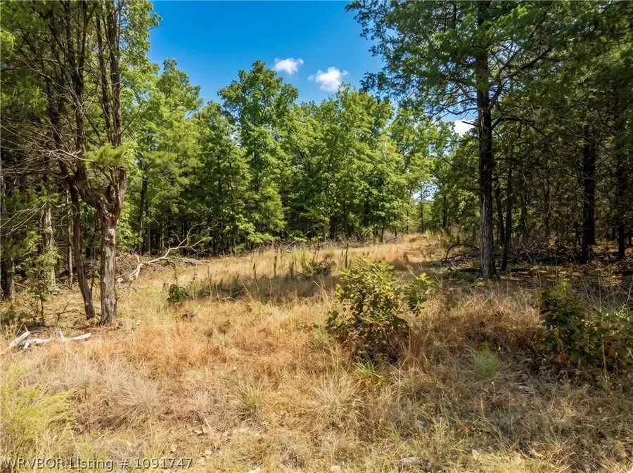 TBD Lucian Wood Road, Cedarville, AR 72932 - #3