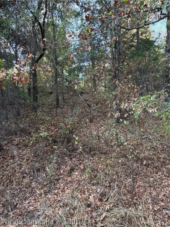 TBD Buck Creek Road, Bokoshe, OK 74930 - #2