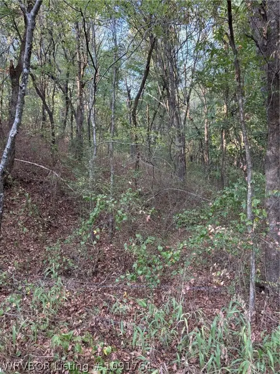 TBD Buck Creek Road, Bokoshe, OK 74930 - #3