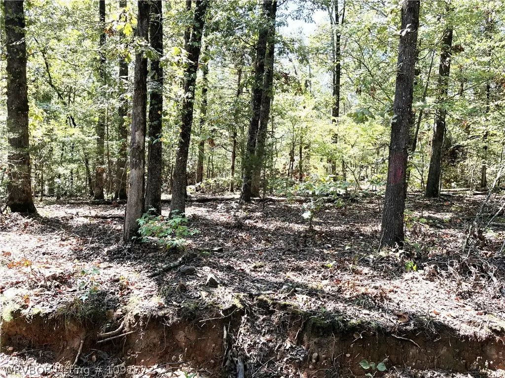 TBD Doyel Road, Mountainburg, AR 72946 - #1
