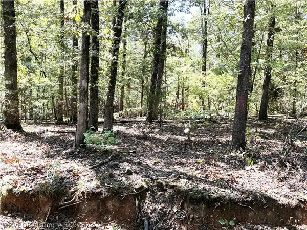TBD Doyel Road, Mountainburg, AR 72946