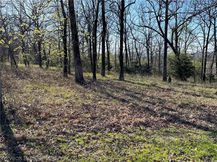TBD Pine Cliff Heights, Van Buren, AR 72956 - #2