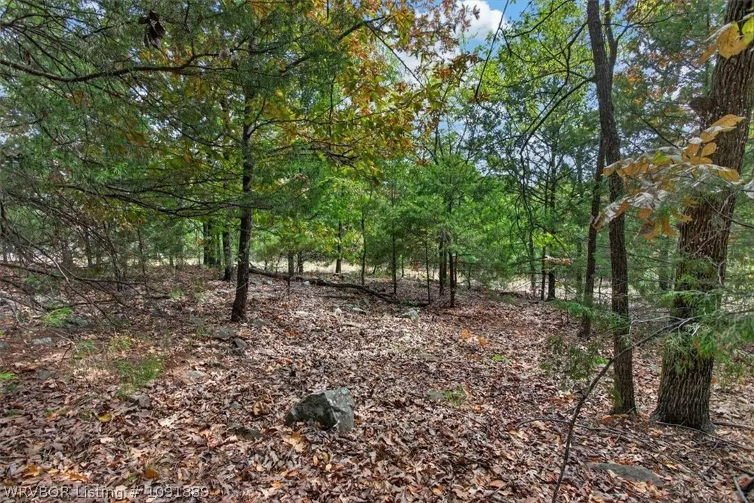 TBD N Bk 1800 Road, Stigler, OK 74462 - #1