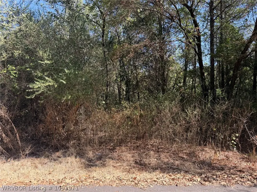 TBD Brad Street, Booneville, AR 72927 - #3