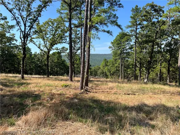 48415 82 Highway, Talihina, OK 74571