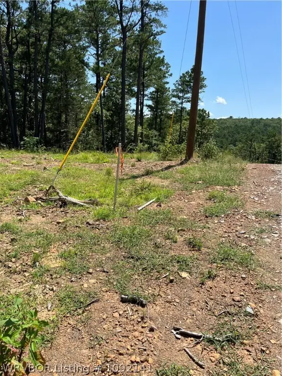 0005 Goats Bluff, Wister, OK 74966 - #2