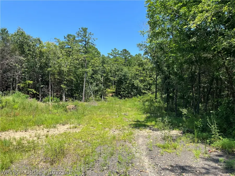 0005 Goats Bluff, Wister, OK 74966 - #3