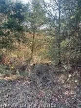 TBD Goff Circle, Dyer, AR 72921 - #2