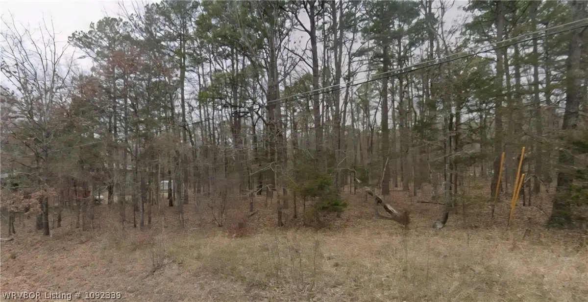 TBD Robinhood Trail, Indian Rock, AR 72088 - #1
