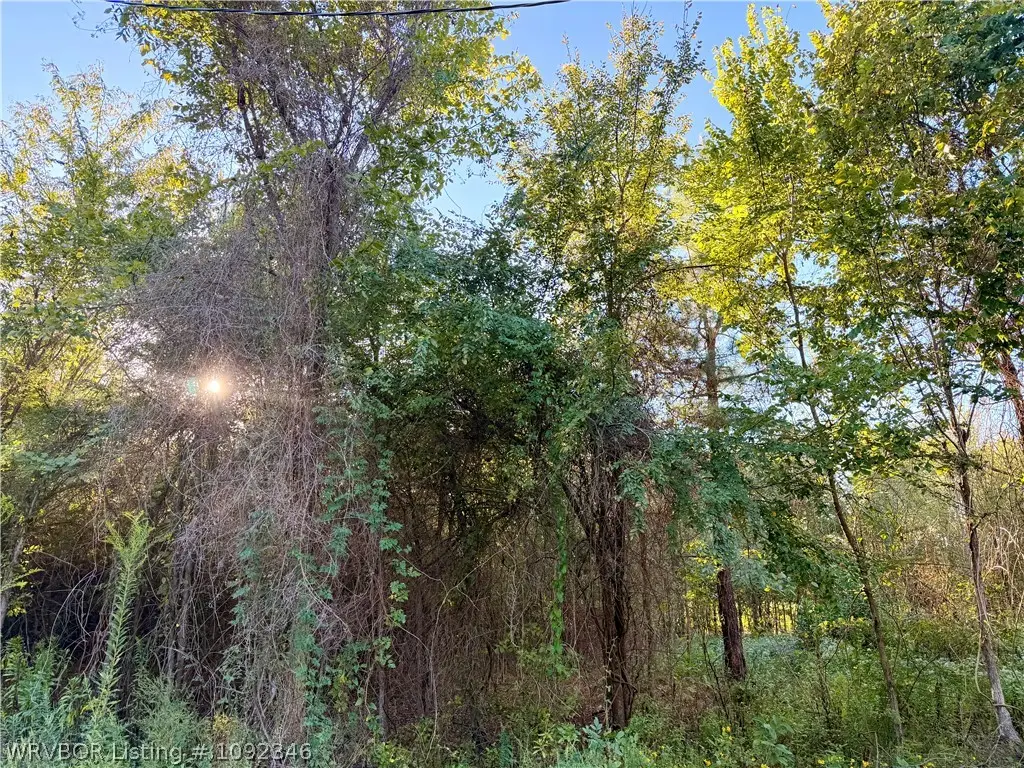 tbd (tract 1) Bear Creek, Fort Smith, AR 72916 - #1