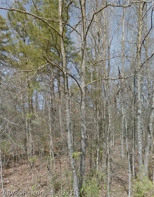 Lot 019 W Burnett, Vaugine, AR 71603 - #1