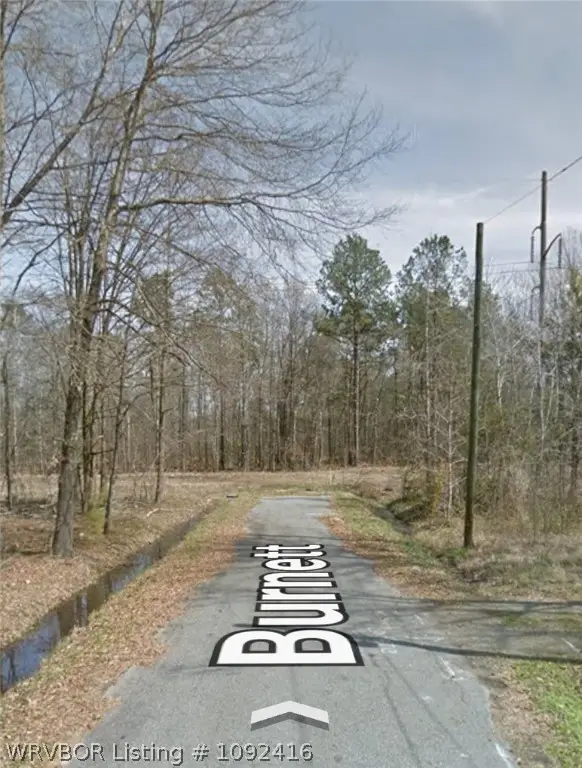 Lot 019 W Burnett, Vaugine, AR 71603 - #3