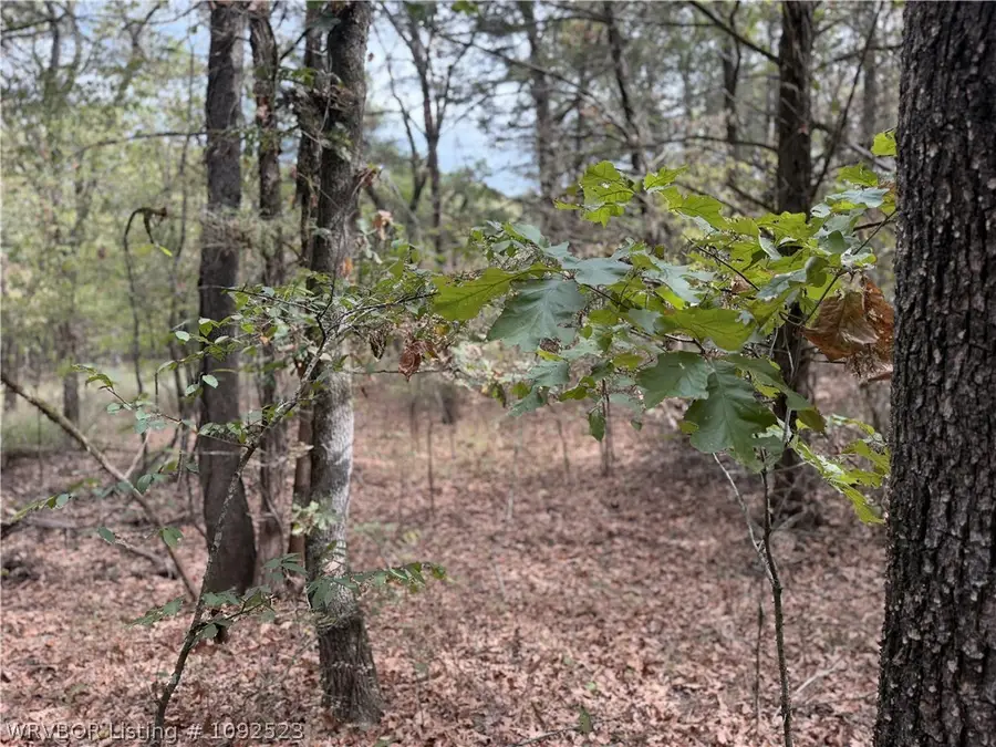 TBD SE 1095th Road, Wilburton, OK 74578 - #3