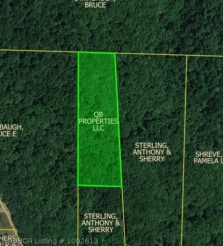 TBD Lancaster, Rudy, AR 72952 - #2