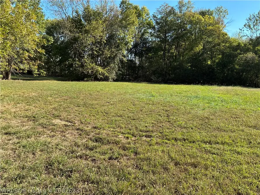 TBD Carter Avenue, Mulberry, AR 72947 - #3
